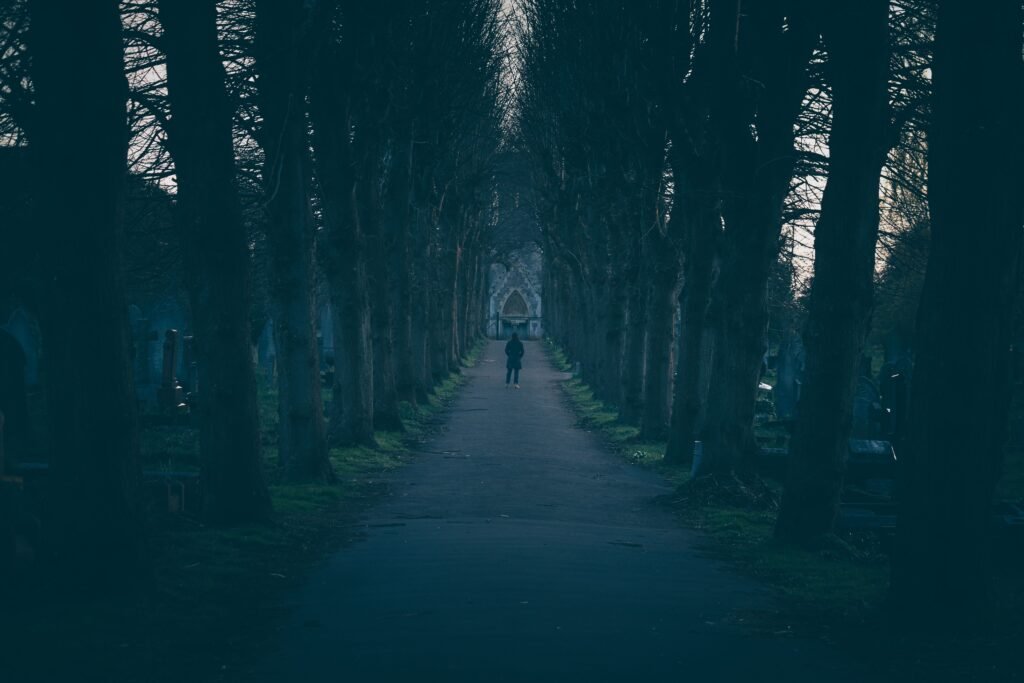 A person standing between two paths