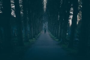 A person standing between two paths