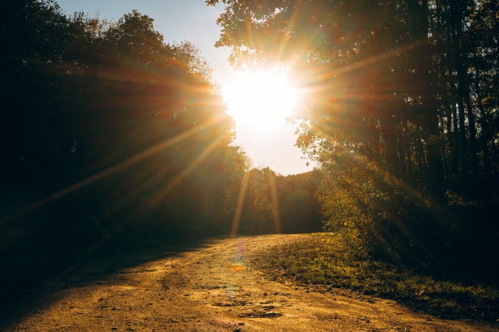 quiet path at sunrise